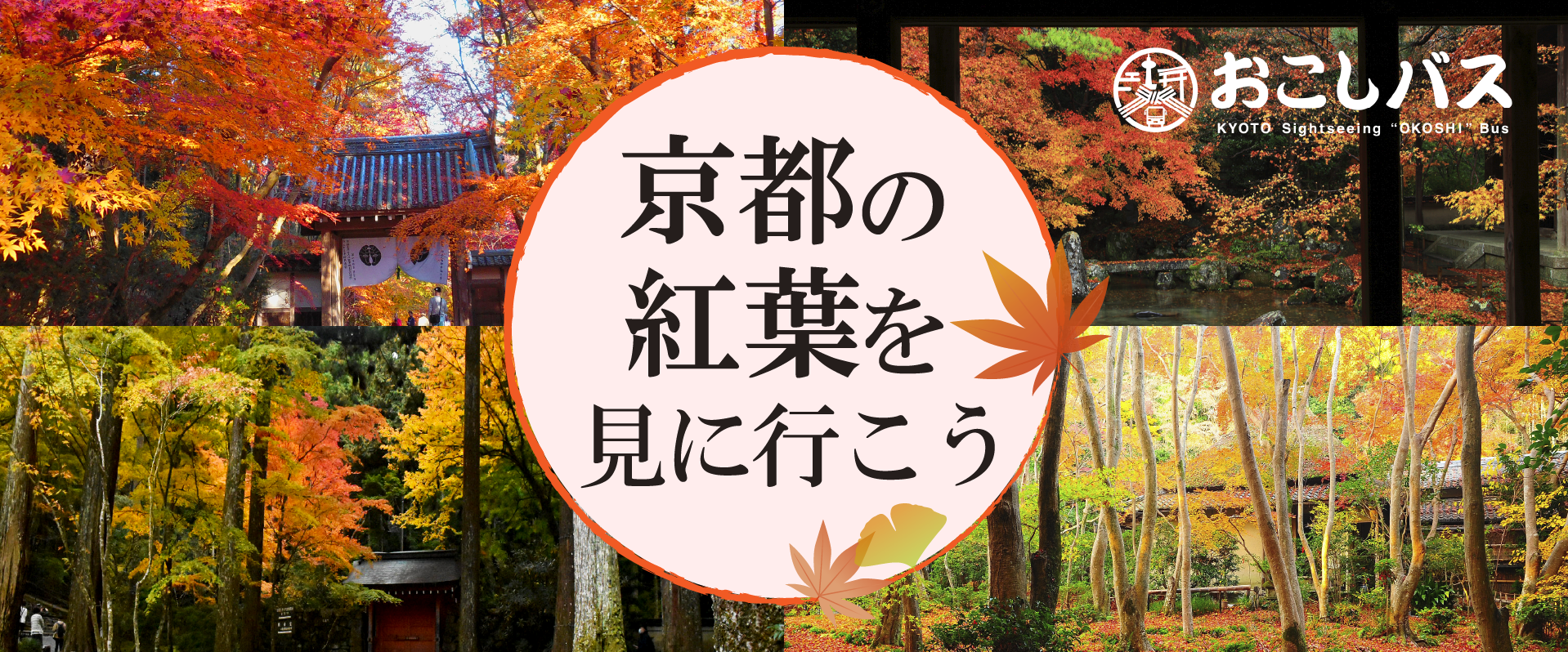 京都紅葉（昼）