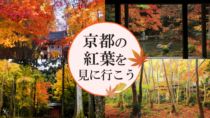 おこしバス　京都定期観光バス　京都　紅葉
