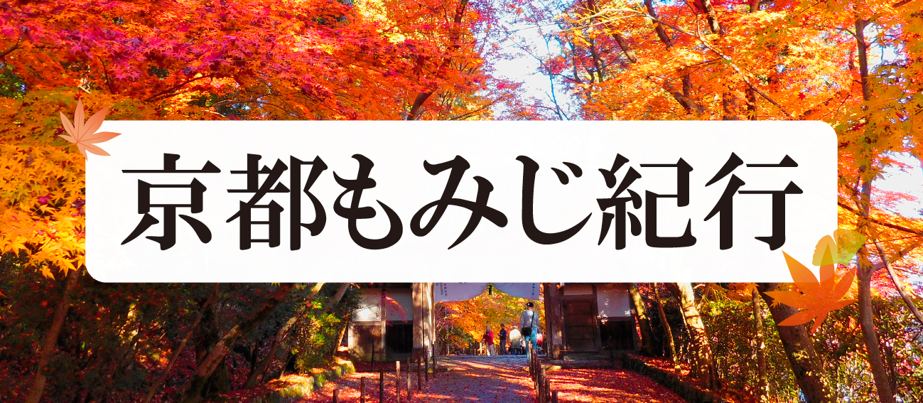 京都もみじ紀行