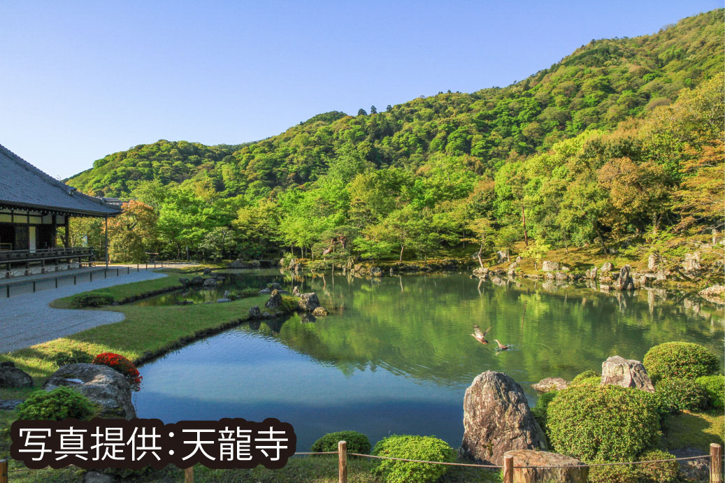 Kyoto Highlights