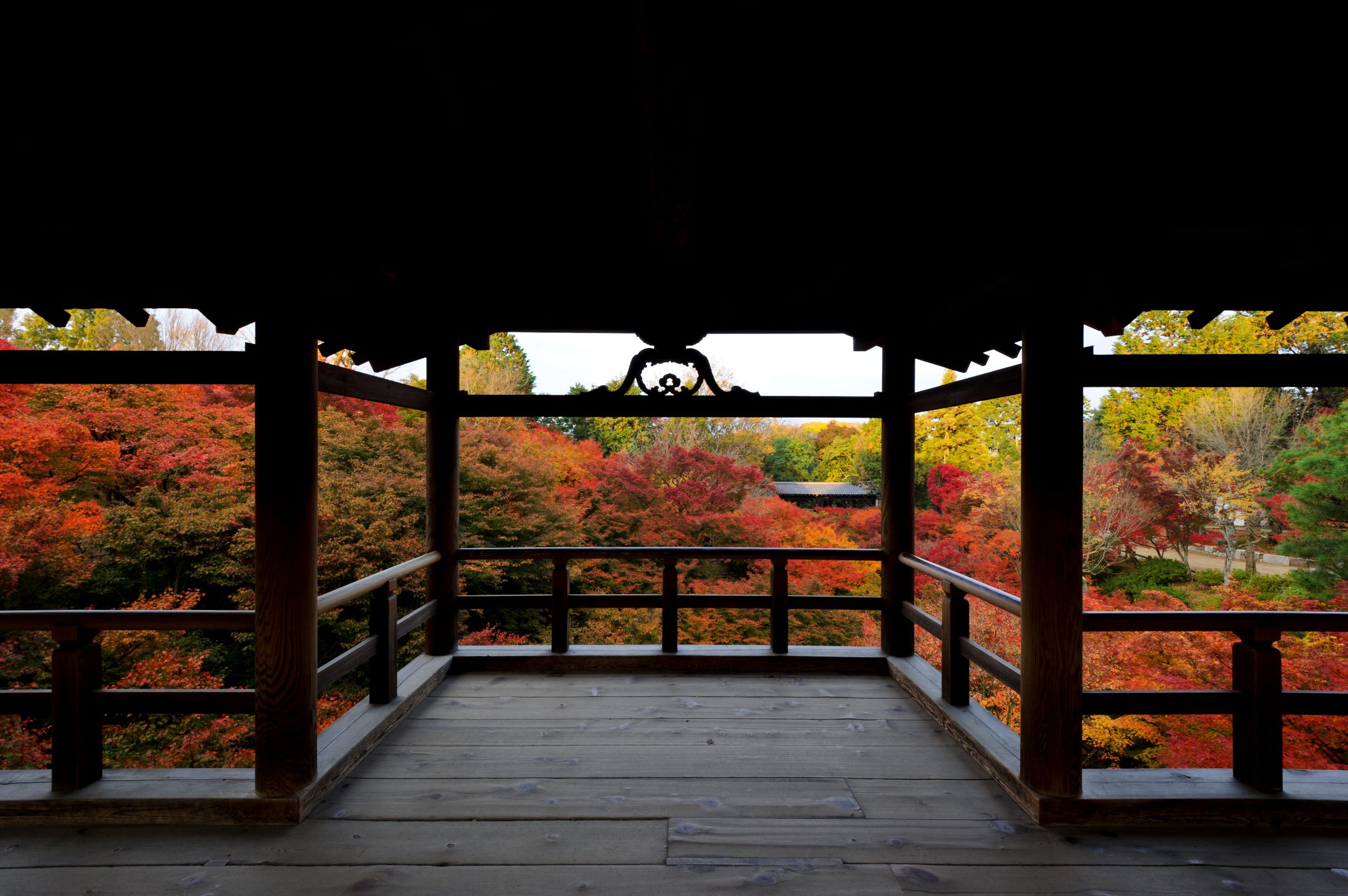古都を彩る紅葉と美食の旅