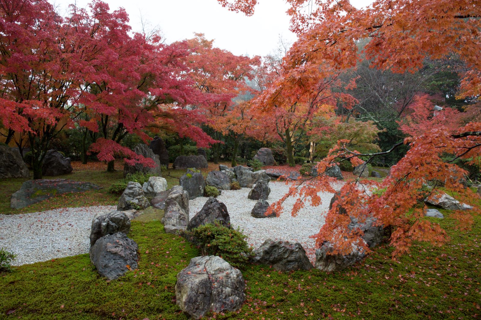 北野天満宮と京の絶景