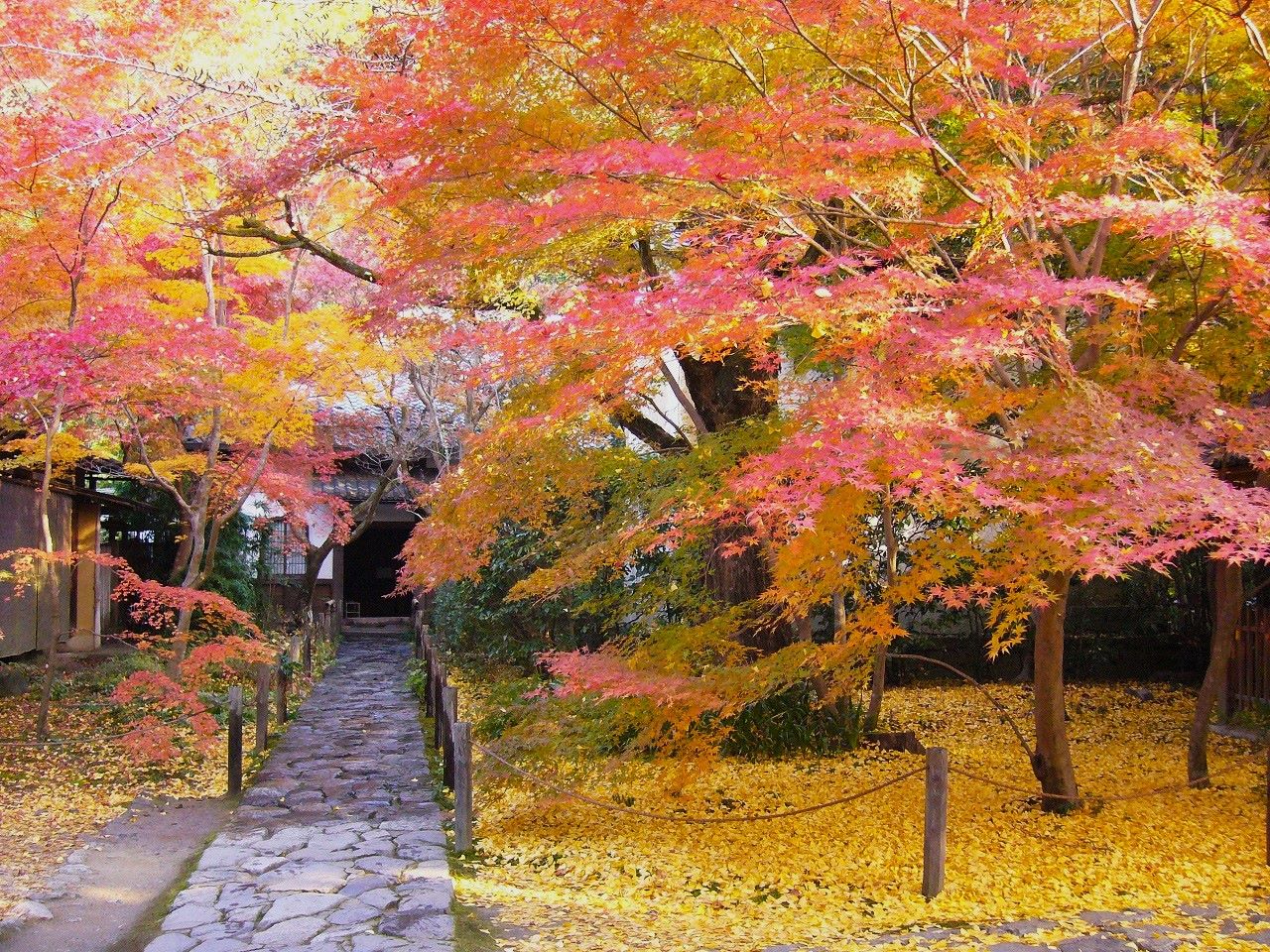 ～今年の京都は寛永行幸！～バス旅・もみじ・秋urara～