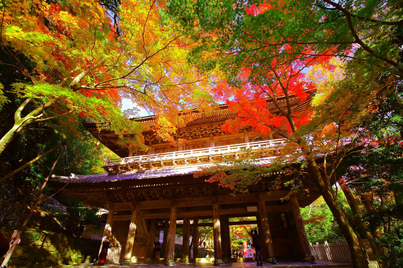 湖東三山と永源寺めぐり