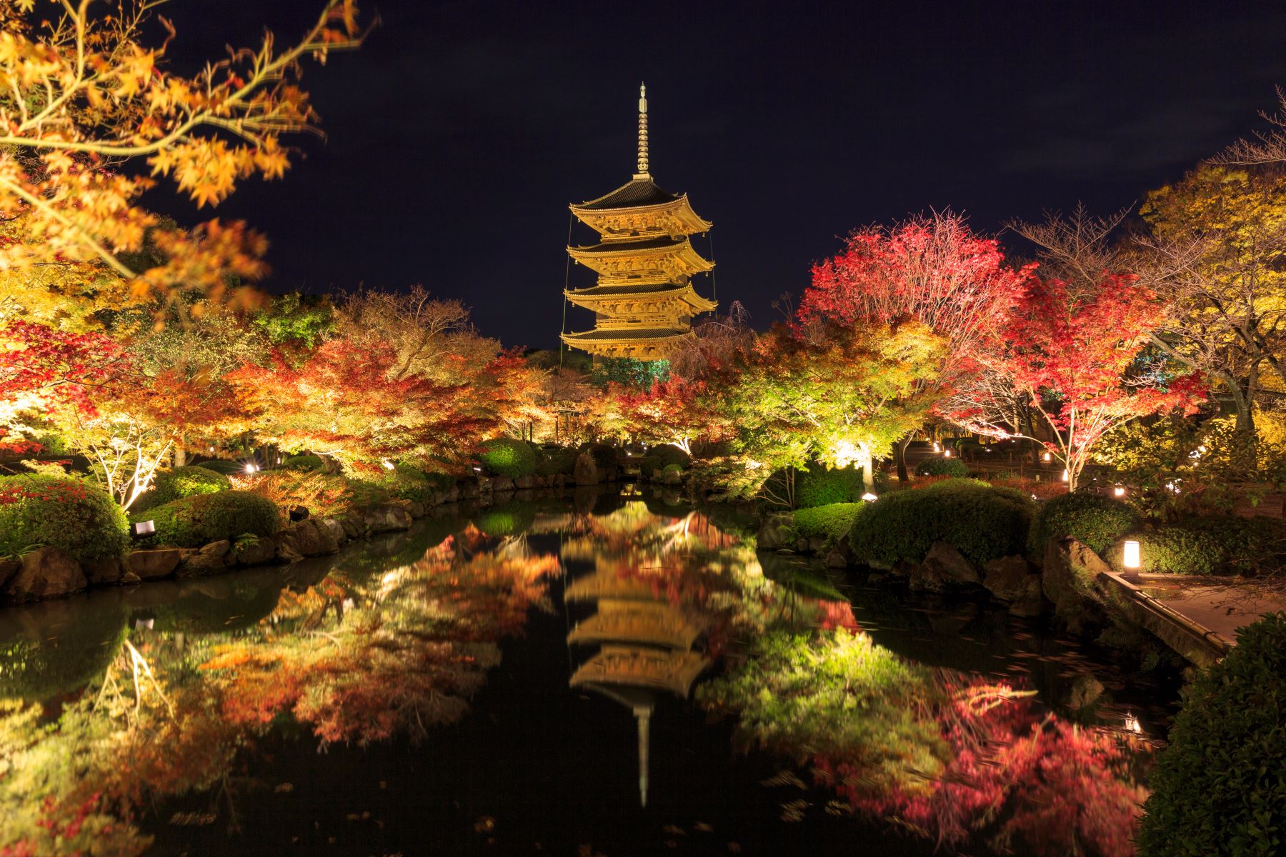 ライトアップ京の紅葉　知恩院と東寺の夜紅葉