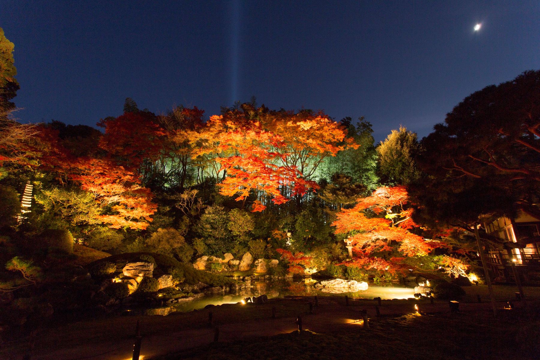 東西の紅葉の名所 嵐山 宝厳院と青蓮院門跡
