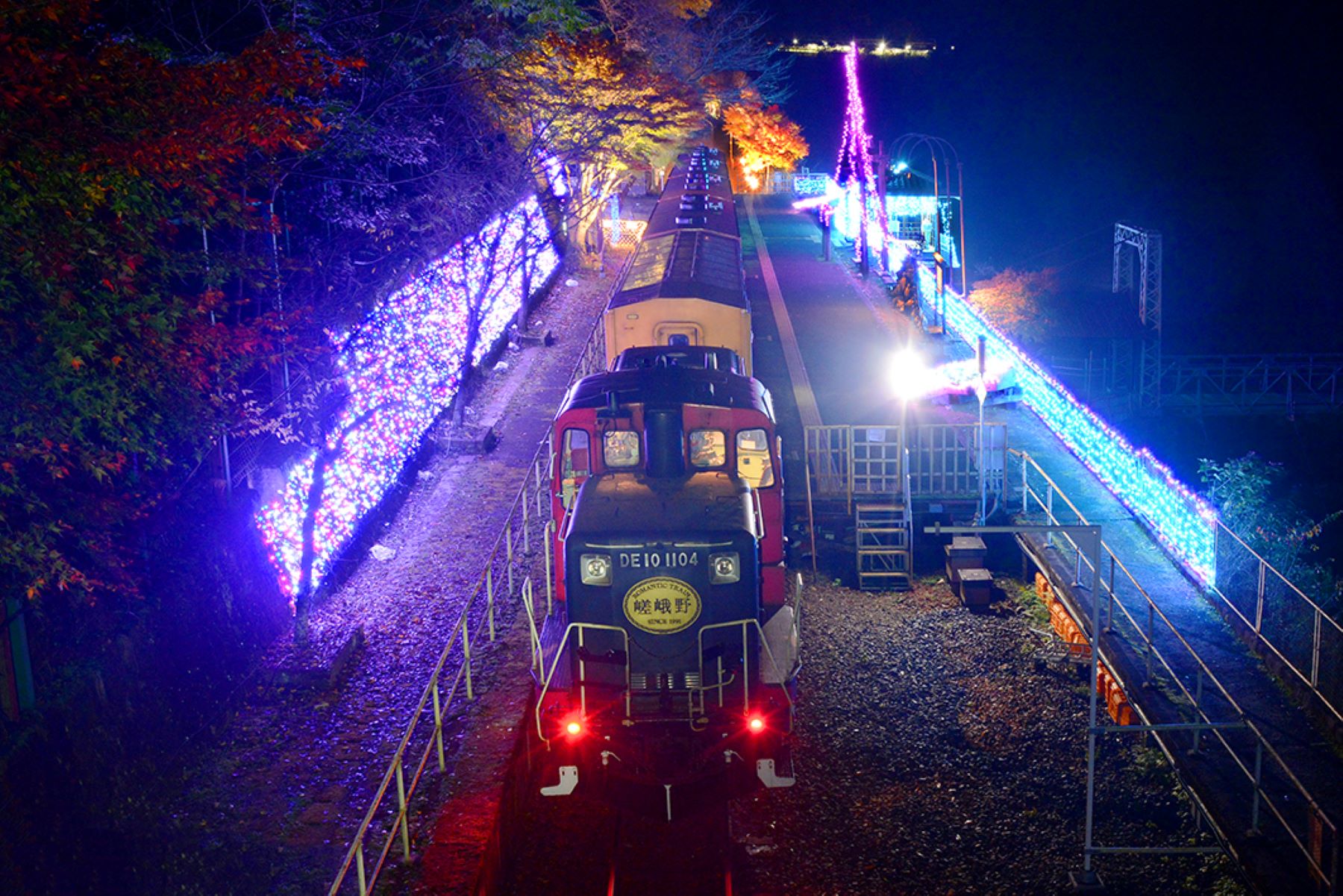 紅葉のﾗｲﾄｱｯﾌﾟ＆光の幻想列車 嵯峨野ロマンティックトレイン