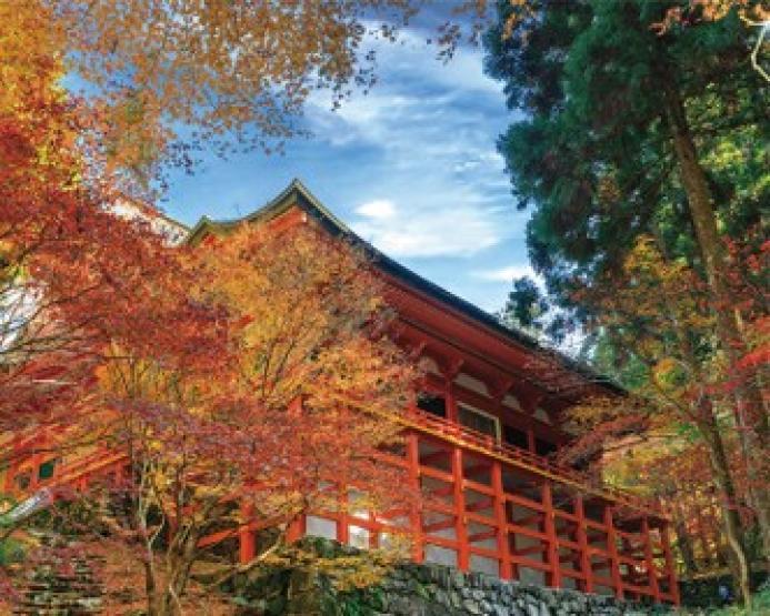 ～錦秋に染まる世界遺産・比叡山延暦寺へ～オープントップバスで行く「横川もみじ祭り」と絶景の秋彩めぐり