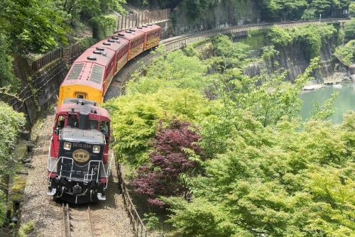 ～ありがとう、DE10形～トロッコ列車と嵐山散策・金閣寺・伏見稲荷大社