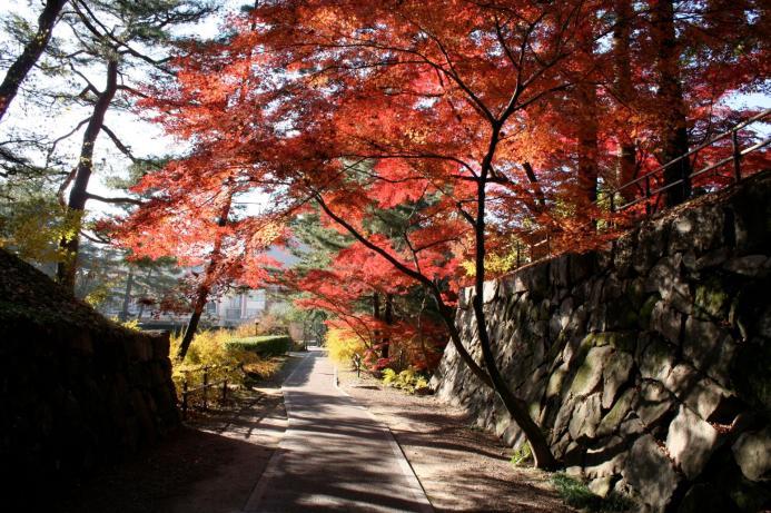 ～京都古文化保存協会との提携企画～知られざる紅葉の名所「法常寺」と光秀の旧跡をたずねて