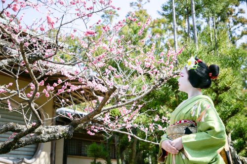 ～京都「千年の心得」～しょうざん「梅見の宴」と早春の花めぐり