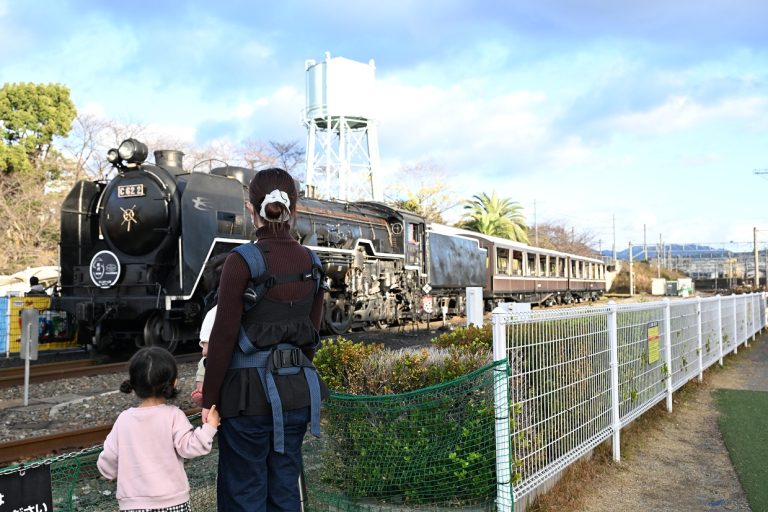 スカイバス京都 京都鉄道博物館入館券付！梅小路公園散策とオープントップドライブ